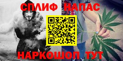 spice Кандалакша