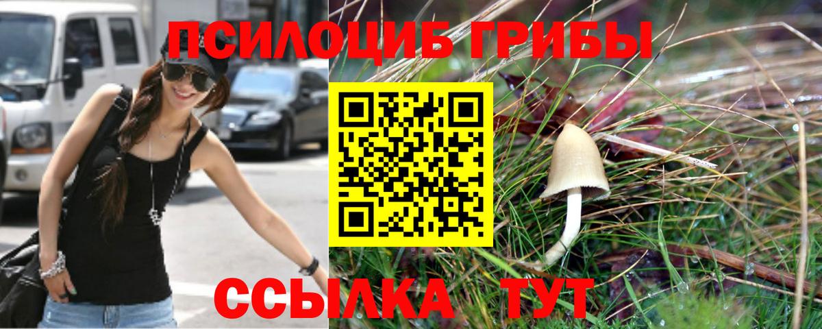 Куйбышев  Псилоцибиновые грибы MAGIC MUSHROOMS  Вход с VPN 